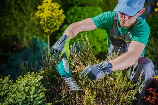 landscaping services Grand Coteau